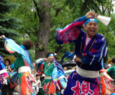 夢想漣えさし様 演舞の様子15